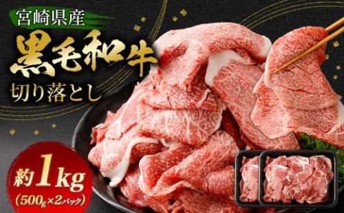 ＜黒毛和牛切り落とし 500g×2パック 計1kg＞翌月末迄に順次出荷 黒毛和牛 和牛 牛肉 肉 切り落とし 切落し お肉 国産 九州産 冷凍 宮崎県 高鍋町 2287047 - 宮崎県高鍋町