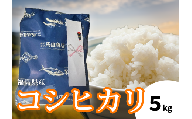 【令和7年度産 新米】福島県産コシヒカリ 5kg | 福島県産 コシヒカリ 新米 令和7年産 順次発送 白米 単一原料米 粒揃い 甘み もちもち ふっくら つややか ごはん ギフト 精米 | BF038
