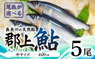 【尾数が選べる】郡上鮎 長良川の天然鮎 中サイズ(約20ｃｍ) 5尾 / 食品 魚介類 水産加工品 その他水産物 鮎 アユ 10000円 G0076a