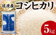 【令和7年産】佐渡産コシヒカリ　5kg