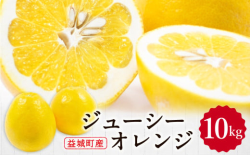 ジューシーオレンジ 約10kg 柑橘類 晩柑 熊本県産 【2026年3月上旬～4月下旬まで発送予定】 2287213 - 熊本県益城町