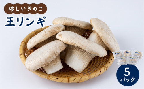 珍しいきのこ　王リンギ5パック AT18 2287252 - 福岡県大木町
