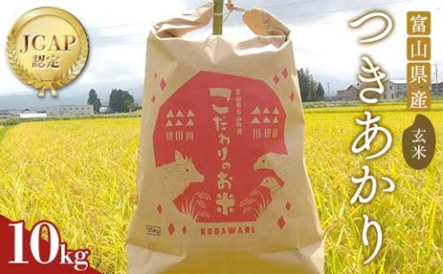 《数量限定》令和7年度産 つきあかり 玄米 10kg 米 お米 新米 ごはん おにぎり 富山 立山 北アルプス 健康志向 JGAP認定 F6T-845 2287286 - 富山県立山町