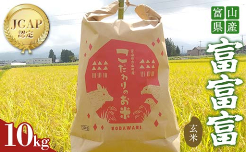 《数量限定》令和7年度産 富富富 玄米 10kg 米 お米 新米 ごはん おにぎり 富山 立山 北アルプス 健康志向 JGAP認定 F6T-847 2287288 - 富山県立山町