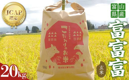 《数量限定》令和7年度産 富富富 玄米 20kg 米 お米 新米 ごはん おにぎり 富山 立山 北アルプス 健康志向 JGAP認定 F6T-848 2287344 - 富山県立山町