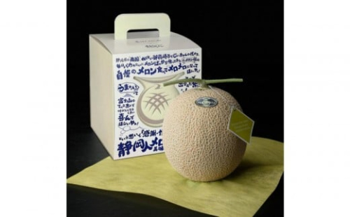 【限定企画商品】静岡人 × 山下メロンの最高級のマスクメロン 1玉 Ｌ玉1.6kg～1.7kg  静岡温室メロン「バカうまいメロン」「自慢のメロンを届けたい！！」　高級果実店に仕入れるほどの自信のあるメロン  ギフト  メロン めろん 箱詰め フルーツ 果物  産地直送 甘いメロン 糖度   青肉 2287524 - 静岡県御前崎市
