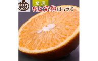 厳選 樹上完熟はっさく 10kg+250g（傷み補償分）【有田の春みかん・五月八朔・木生りはっさく】【光センサー選別】 ［IKE276］