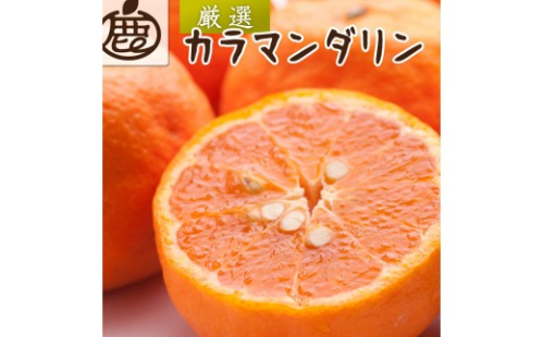 厳選 カラマンダリン 10kg+250g（傷み補償分）【南津海・なつみ】【希少な春柑橘】【みかんと同じように食べられます】 ［IKE281］ 2287668 - 和歌山県上富田町