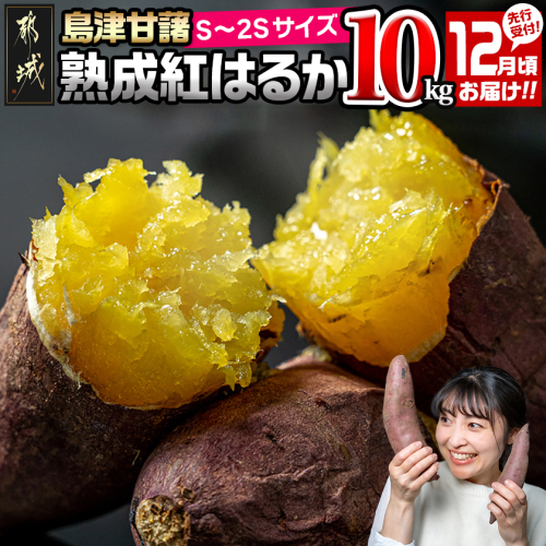 先行受付!【12月お届け】島津甘藷　熟成紅はるか 10kg(S～2S)_AA-A701-m-12 2287673 - 宮崎県都城市