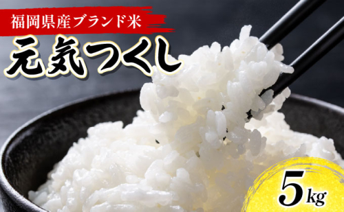 令和６年産 福岡県産米 元気つくし 5kg 精米 CY011 2287822 - 福岡県大木町