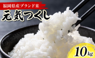 令和7年産 福岡県産米 元気つくし 10kg 精米 ※北海道・沖縄・離島は配送不可 CY012