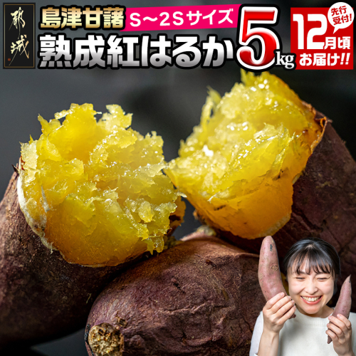 先行受付!【12月お届け】島津甘藷　熟成紅はるか 5kg(S～2S)_LD-A701-m-12 2287829 - 宮崎県都城市