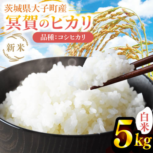 【先行予約】【10月上旬より順次出荷予定】新米5kg 「冥賀のヒカリ」コシヒカリ（白米）令和7年産 ｜茨城県 大子町 奥久慈 天日干し米 おだがけ米 はざがけ米 いねかけ米 米 精米 ご飯 数量限定(DA001) 2287866 - 茨城県大子町