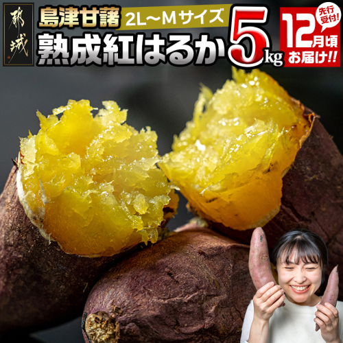 先行受付!【12月お届け】島津甘藷　熟成紅はるか 5kg(2L～M)_LD-A701-12 2287868 - 宮崎県都城市