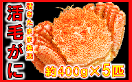 【令和8年発送】三陸産 三陸活毛ガニ400g×5杯【2026年3月～4月発送】【05】