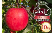 【先行予約：2025年11月上旬より発送】りんご（ふじ）10kg【北海道余市町産】