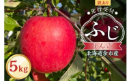 【先行予約：2025年11月上旬より発送】訳アリ りんご（ふじ）5kg【北海道余市町産】