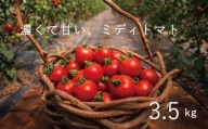 【2024年産予約受付】 フルーツトマト 3.5kg のんの畑北海道 ミディトマト 数量限定
