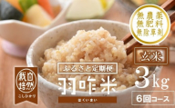 先行予約 定期便 新米 こしひかり 玄米 自然栽培 数量限定 令和7年産 3kg × 6回 計18kg 羽咋米 自然栽培米 玄米 農薬 除草剤 不使用 羽咋 米 能登 こしひかり こだわり 石川県産 能登 栽培 環境 こめ コメ お米 2025年産 おこめ R7 ご飯 ごはん 送料無料 数量 限定 ギフト 新米 予約 ふるさと納税 能登 石川 石川県 羽咋 はくい