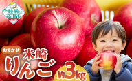 □□□米崎 りんご 3kg 　≪品種おまかせ≫【 数量限定 リンゴ 林檎 りんご 9月 10月 11月 12月 青林 王林 ジョナゴールド シナノスイート 等  岩手 陸前高田 産地直送 新鮮 アップル 家庭用 】RT670