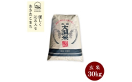 ＜毎月定期便＞秋田県産　あきたこまち1等　玄米　30kg全3回【4072887】