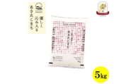 ＜毎月定期便＞秋田県産あきたこまち無洗米5kg(5kg×1)全12回【4072897】