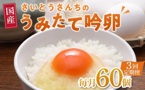【3回定期便】さいとうさんちのうみたて吟卵　60個入り 2288882 - 宮城県角田市