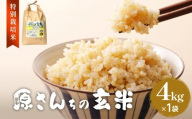 令和7年度産 原さんちの玄米 玄米 4kg ヒノヒカリ 有機質肥料 特別栽培米 原農園 完熟堆肥 アートテン農法 抗酸化農法 有効微生物農法 光合成 体に良い 美味しい お米 安全 清潔 環境に優しい 栄養価 高品質 産地直送 健康志向