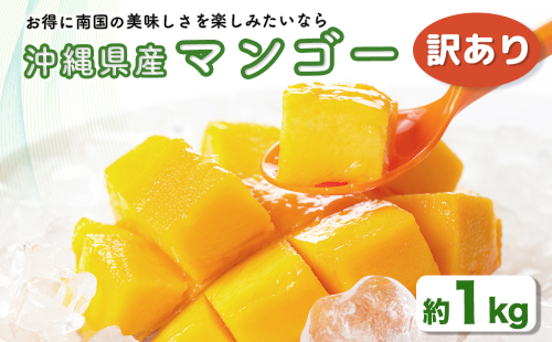 ハナトフルーツ 沖縄県産 訳ありマンゴー1ｋｇ 【 先行予約 2026年発送 】 2288993 - 沖縄県うるま市