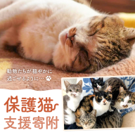 【返礼品なし】保護猫支援寄附 一般社団法人オープンセサミアライブ 熊本県 南阿蘇村 保護猫 支援 猫 ネコ ねこ 生活支援 動物愛護 保護 返礼品なし 寄附 牧場 オープンセサミ アニマルサンクチュアリ