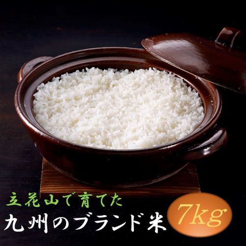 AG181.【期間限定】立花山で育てた九州のブランド米・7キロ 2289354 - 福岡県新宮町