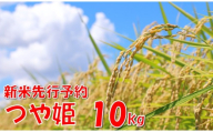【令和８年産米 先行予約】つや姫10kg　高橋　