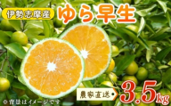 ゆら早生みかん 3.5kg みかん 期間限定 ミカン 蜜柑 温州みかん 柑橘 mikan フルーツ くだもの 果物 かんきつ 食品 農家直送 伊勢志摩産 三重県 南伊勢町 土実樹農園 1万円台 2万円以下 10000円台 20000円以下 一万円台 二万円以下