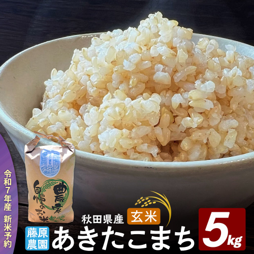 米【令和７年産 新米予約】秋田県北秋田市産 あきたこまち 玄米5kg 2289770 - 秋田県北秋田市