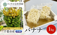 幻の品種 グロスミッシェル種 千葉市産 冷凍バナナ 1kg バナナ 果物 フルーツ 冷凍 千葉市 [№5346-1502]