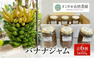 バナナジャム 6個セット ジャム 国産バナナ ギフト セット 千葉市 [№5346-1505]
