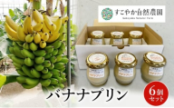 バナナプリン 6個セット プリン 国産バナナ スイーツ ギフト セット 千葉市 [№5346-1506]
