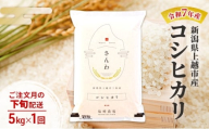 【10月より順次出荷※下旬配送】令和7年産 新潟県 上越市産 コシヒカリ 5kg 白米