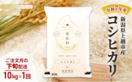 【10月より順次出荷※下旬配送】令和7年産 新潟県 上越市産 コシヒカリ 10kg 白米