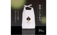 【ふるさと納税】新米 令和7年産 10kg 10キロ 新潟県 上越市産 コシヒカリ おおしま育ち 精米 お米 お取り寄せ 11月上旬より出荷開始