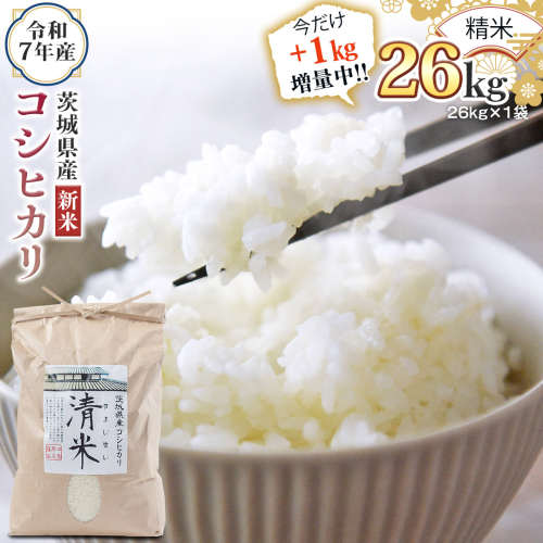 【1kg増量中】 ＜ 新米 ＞ 令和7年産 茨城県産 精米 コシヒカリ 26kg（26kg×1袋） 通常25kgのところ1kg増量中！白米 清米 キヨシマイ こしひかり 米 コメ こめ 単一米 限定 茨城県産 国産 美味しい お米 おこめ おコメ[EH28-NT] 2290218 - 茨城県つくばみらい市