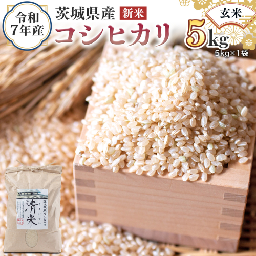 ＜ 新米 ＞ 令和7年産 茨城県産 玄米 コシヒカリ 5kg （5kg×1袋） 清米 キヨシマイ こしひかり 米 コメ こめ 単一米 限定 茨城県産 国産 美味しい お米 おこめ おコメ[EH29-NT] 2290220 - 茨城県つくばみらい市