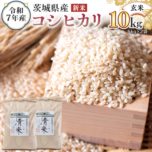 ＜ 新米 ＞ 令和7年産 茨城県産 玄米 コシヒカリ 10kg （5kg×2袋） 清米 キヨシマイ こしひかり 米 コメ こめ 単一米 限定 茨城県産 国産 美味しい お米 おこめ おコメ[EH30-NT] 2290222 - 茨城県つくばみらい市