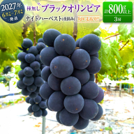 ［ご自宅・ご家庭用］初物 旬を先取り【6月下旬～7月中旬に発送】 温室ハウス栽培 ぶどう 2027年収穫・発送 ナイトハーベスト（夜摘み）種なし 超!!極早生 早なり 早熟 高級品種『ブラックオリンピア（一番星）』計800g以上 3房 人気 ブドウ フルーツ 果物【B646-27】