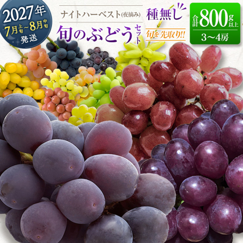 ［ご自宅・ご家庭用］初物 旬を先取り【7月上旬～8月中旬に発送】 温室ハウス栽培 ぶどう 2027年収穫・発送 ナイトハーベスト(夜摘み) 極早生 早なり 早熟 高級品種『旬の種無しぶどうセット』 合計800g以上 3～4房 希少 人気 ブドウ フルーツ 果物【B668-27】 2290230 - 宮崎県新富町