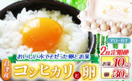 【 お米と卵の 定期便 2回 】 新米 令和7年産 コシヒカリ ( 10kg ) 精米 ＆ 青卵 アローカナ ( 30個 ) きれいな水で育てたシリーズ | 保坂農場 卵 たまご ちばエコ農産物 こしひかり 君津市産 たまかけ イチオシ 千葉 君津市 きみつ 房総