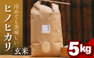 ヒノヒカリ 玄米 5kg 令和6年産 冷めても美味しい 米 お米 ごはん ご飯 米 玄米 健康 玄米 ブランド米 ひのひかり 2024年度産 奈良県 奈良市