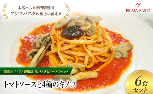 パスタ 高級レストラン御用達の生パスタとソースのセット「トマトソースと4種のキノコ　6食セット」　～本格パスタ専門製麺所「プリマパスタ」の極上の歯ごたえ～ 【TM-YKN1101-6】 2290734 - 千葉県市原市