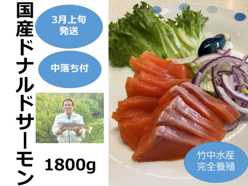 北海道　3月上旬発送　国産ドナルドサーモン(生食用)　中落ち付1800g 2291032 - 北海道池田町