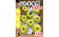 先行受付＜青森市産・ぐんま名月＞約3kg(家庭用)【1181966】